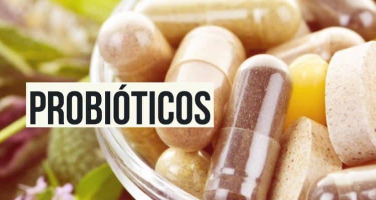 Cuida tu salud gracias a los probióticos