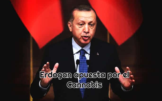 ¿Por qué Erdogan apuesta por el Cannabis?