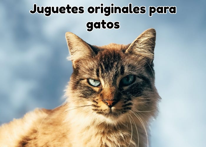 Juguetes originales para gatos