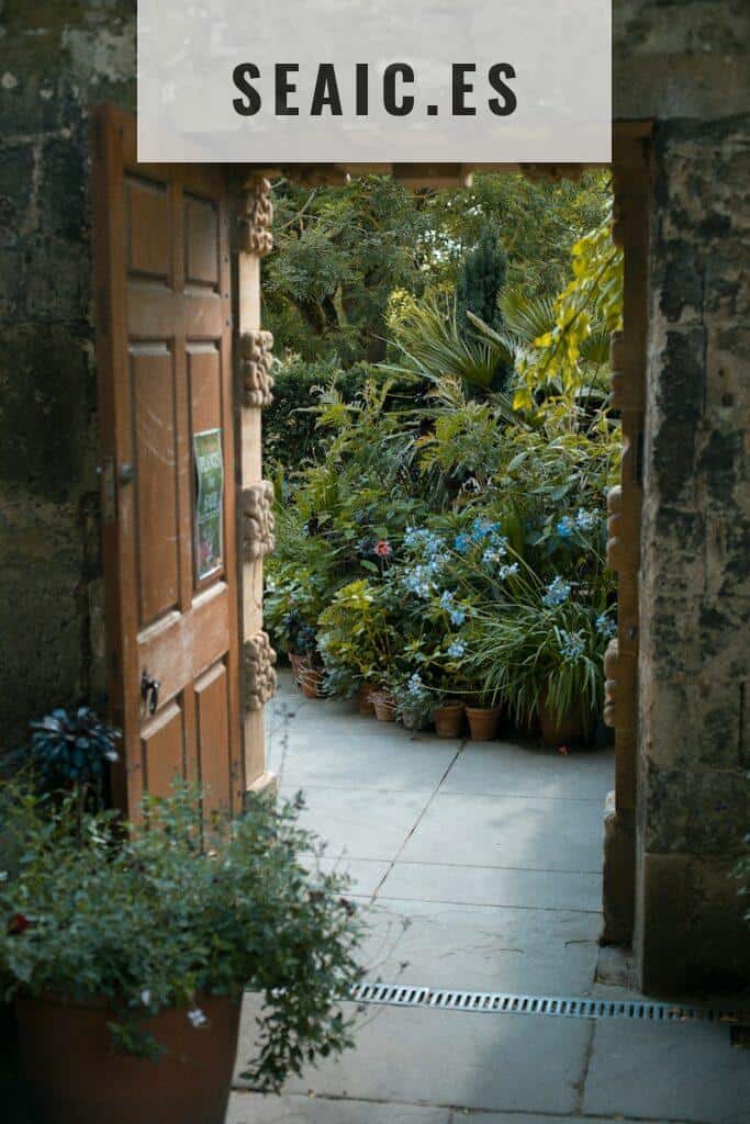 green plants beside brown wooden door