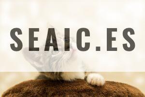 Top juguetes interactivos para gatos
