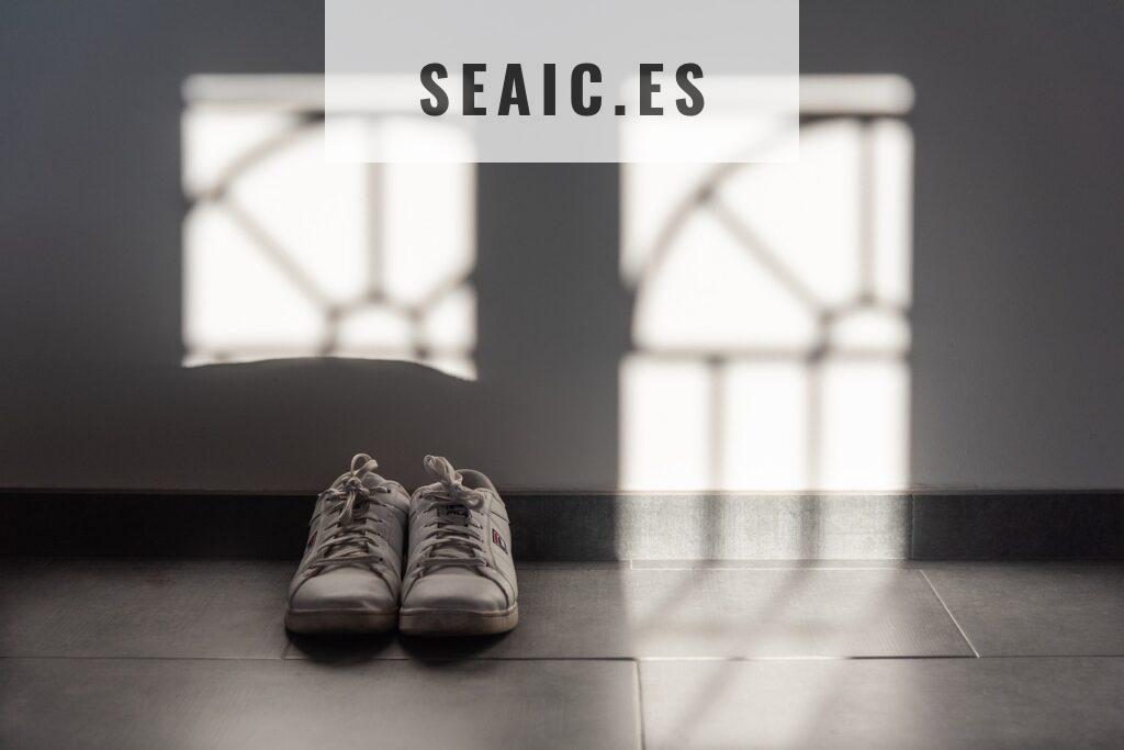Zapatillas Básicas Mujer: el must-have para un look casual y práctico