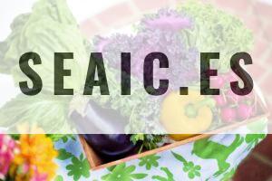 Nutrición: los pilares esenciales para una alimentación saludable y equilibrada