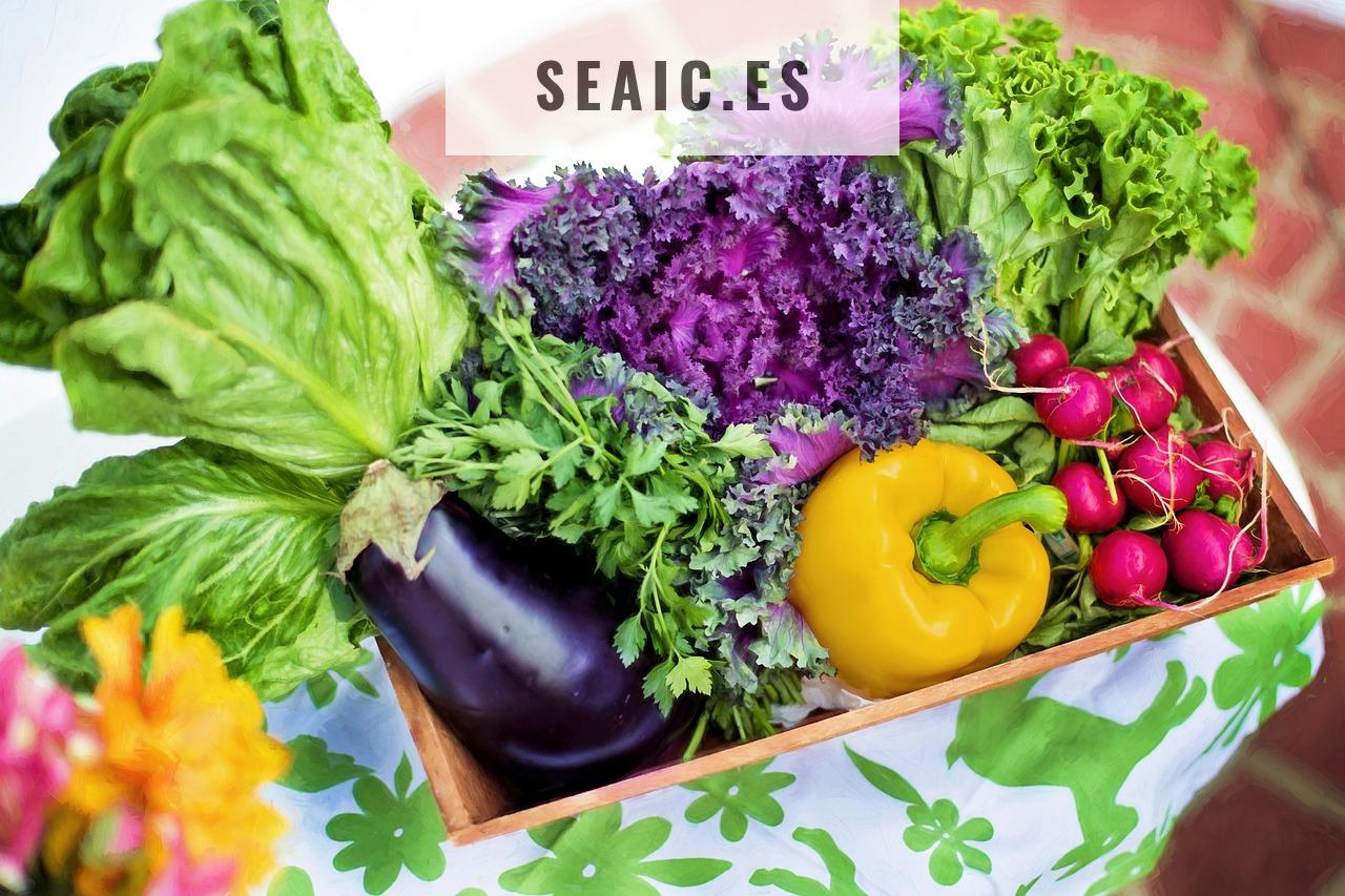 Nutrición: los pilares esenciales para una alimentación saludable y equilibrada