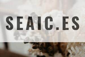 Close-up of a beautiful arrangement featuring cotton buds and dried flowers for a natural decor look.