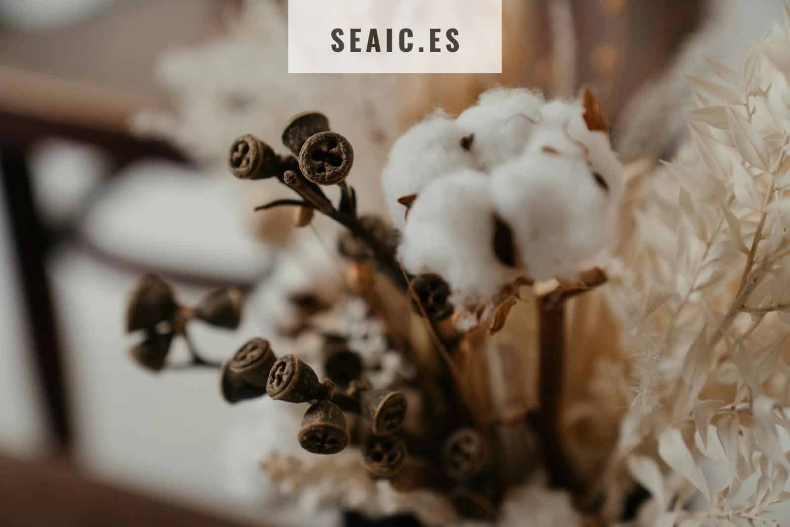 Close-up of a beautiful arrangement featuring cotton buds and dried flowers for a natural decor look.