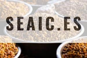 Qué son los superalimentos