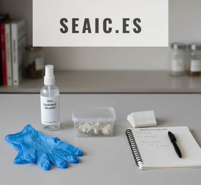 Zona de trabajo limpia con materiales básicos para observar micelio de forma segura